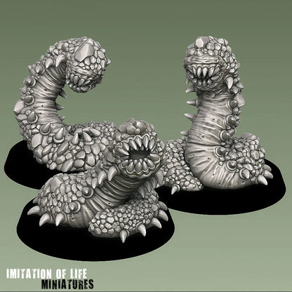 Rockworms_Group3
