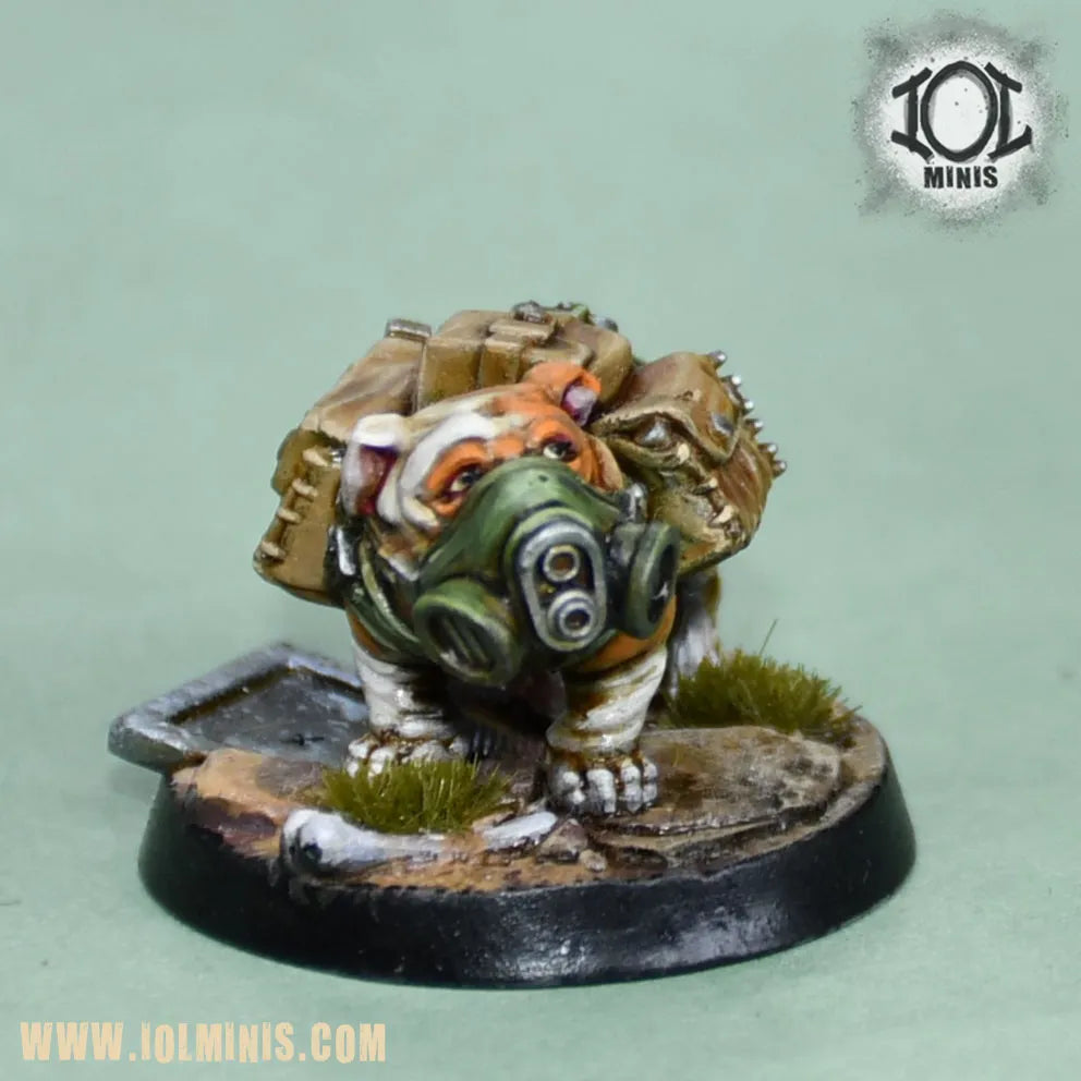 Bogey_Tactical_Paint_02