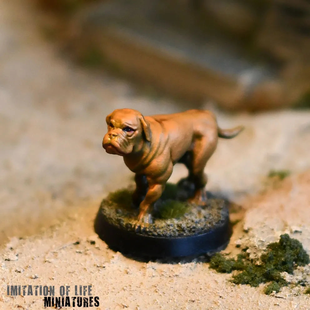 Mastiff_Photo_01