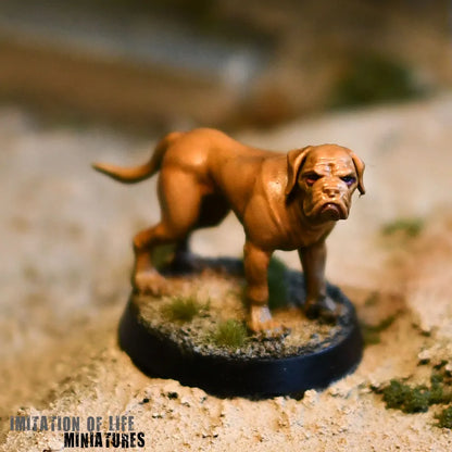 Mastiff_Photo_02