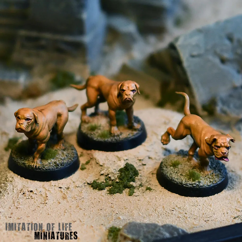 Mastiff_Photo_03
