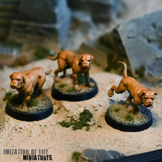 Mastiff_Photo_03