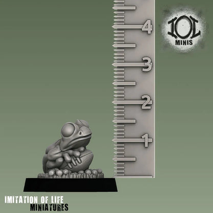 Frog_Render_03