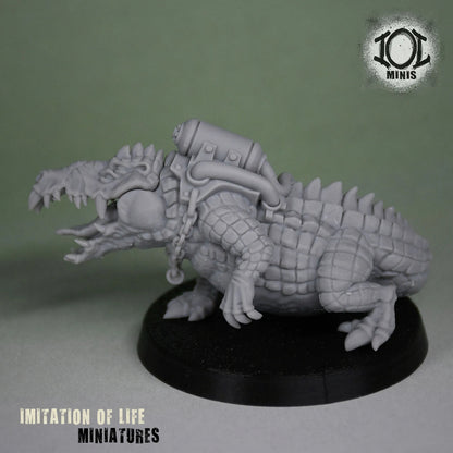 Croc_Printed2