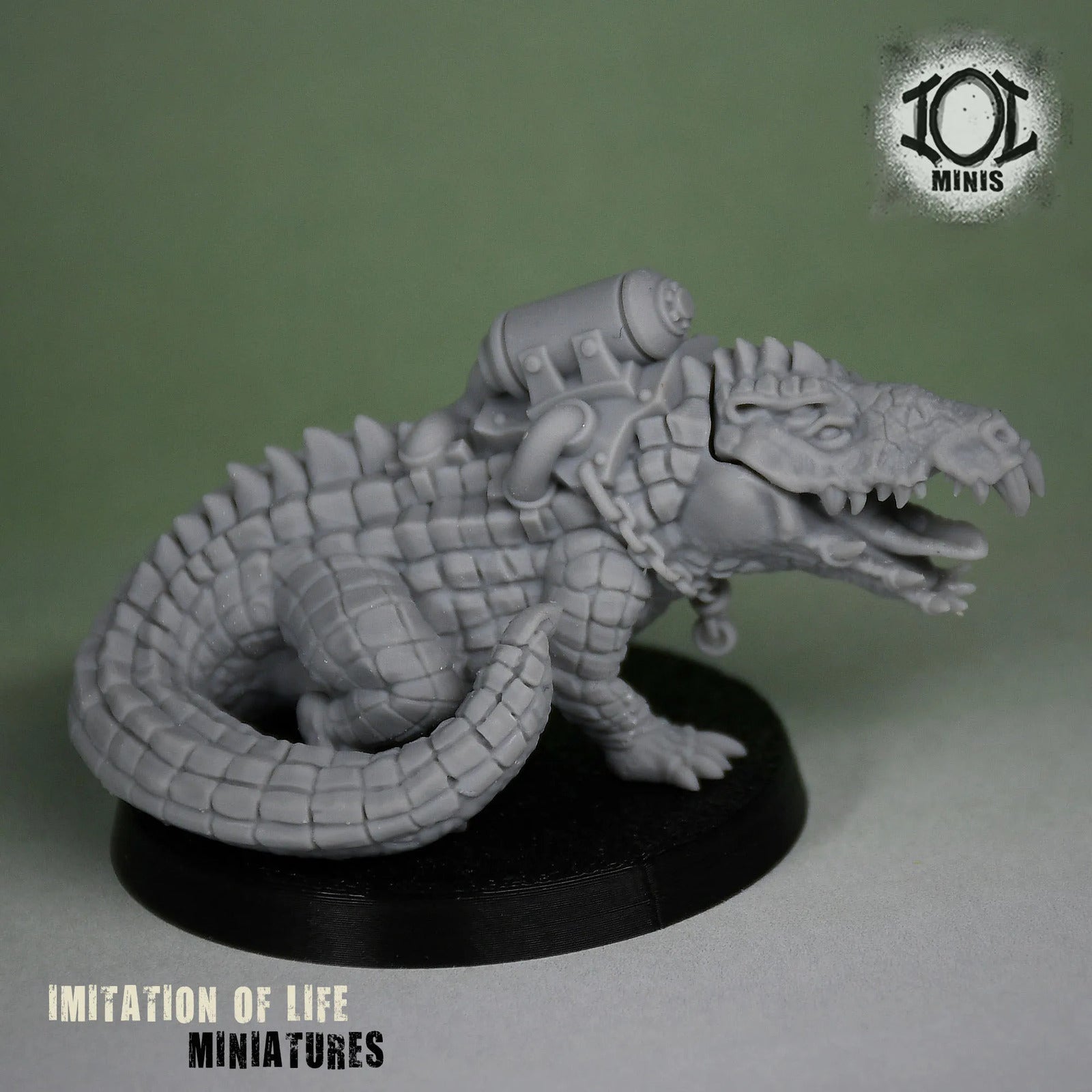 Croc_Printed3