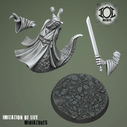 Spaceslug Zenmaster