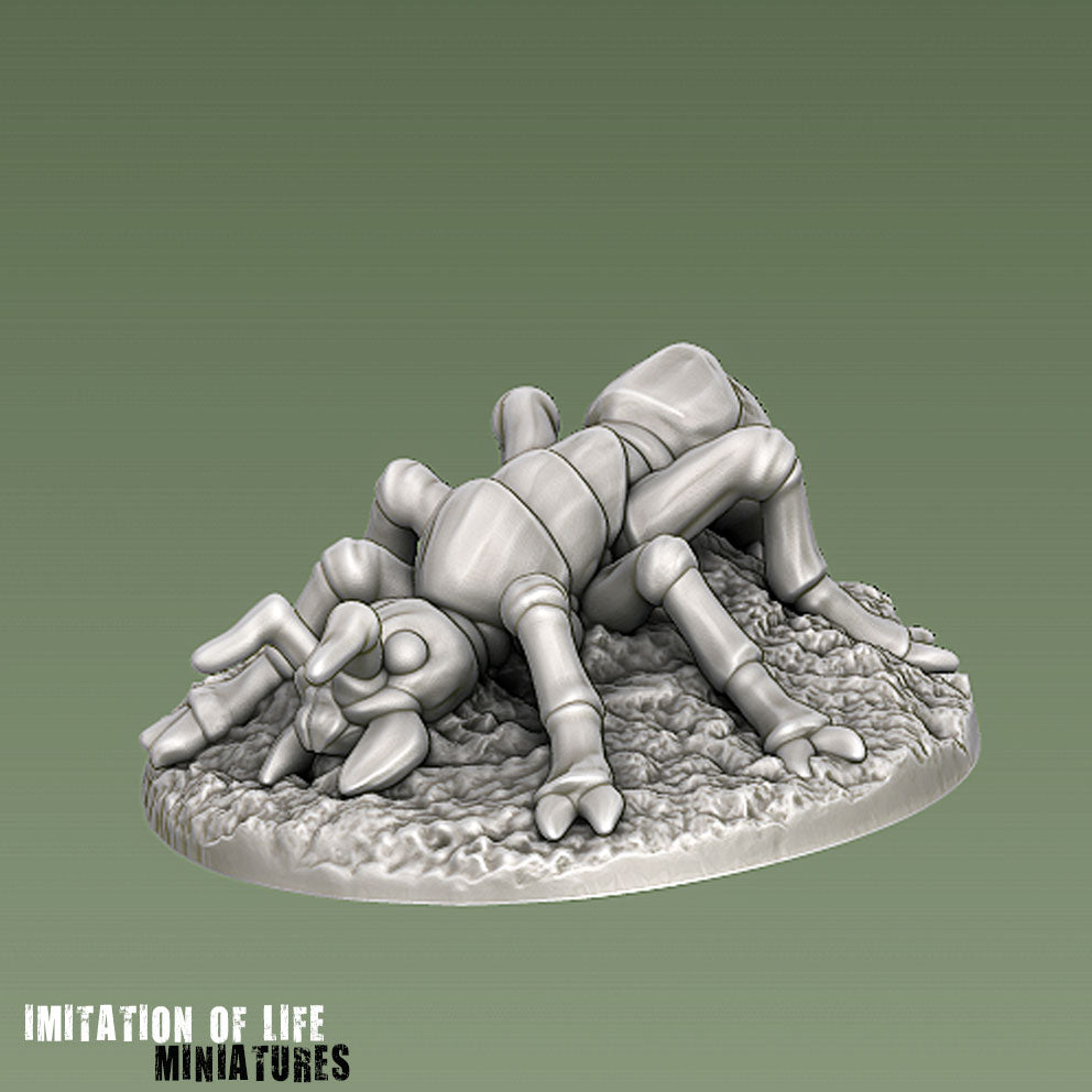 Giant Ants