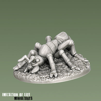 Giant Ants